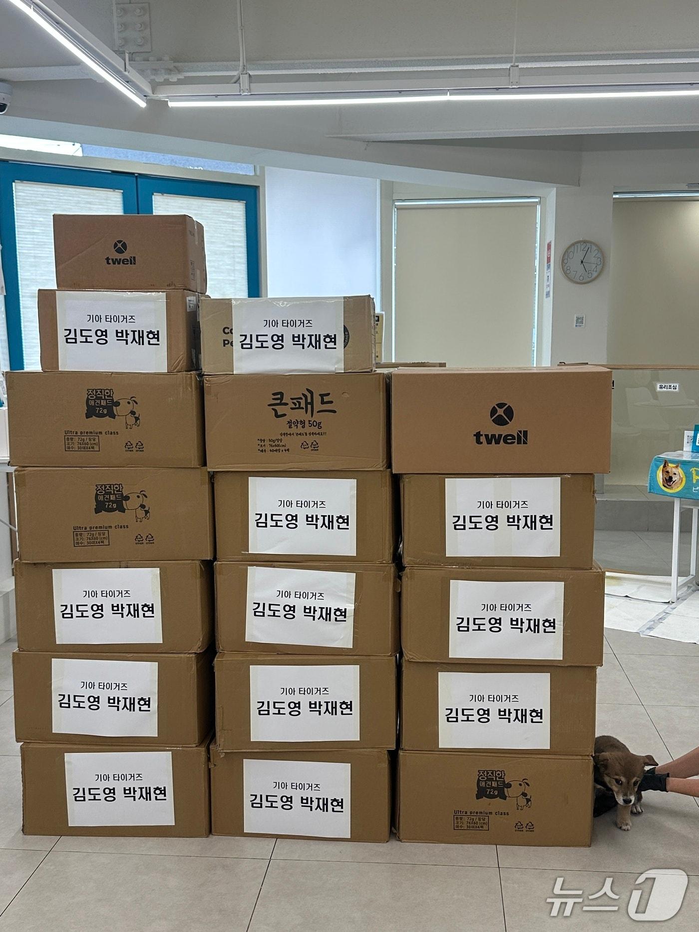 본문 이미지 - KIA 타이거즈 김도영, 박재현 선수가 전남광주 동구 유기견 입양센터 피스멍멍에 기부한 물품. (동구 제공. 재판매 및 DB 금지) 2026.10.22/뉴스1