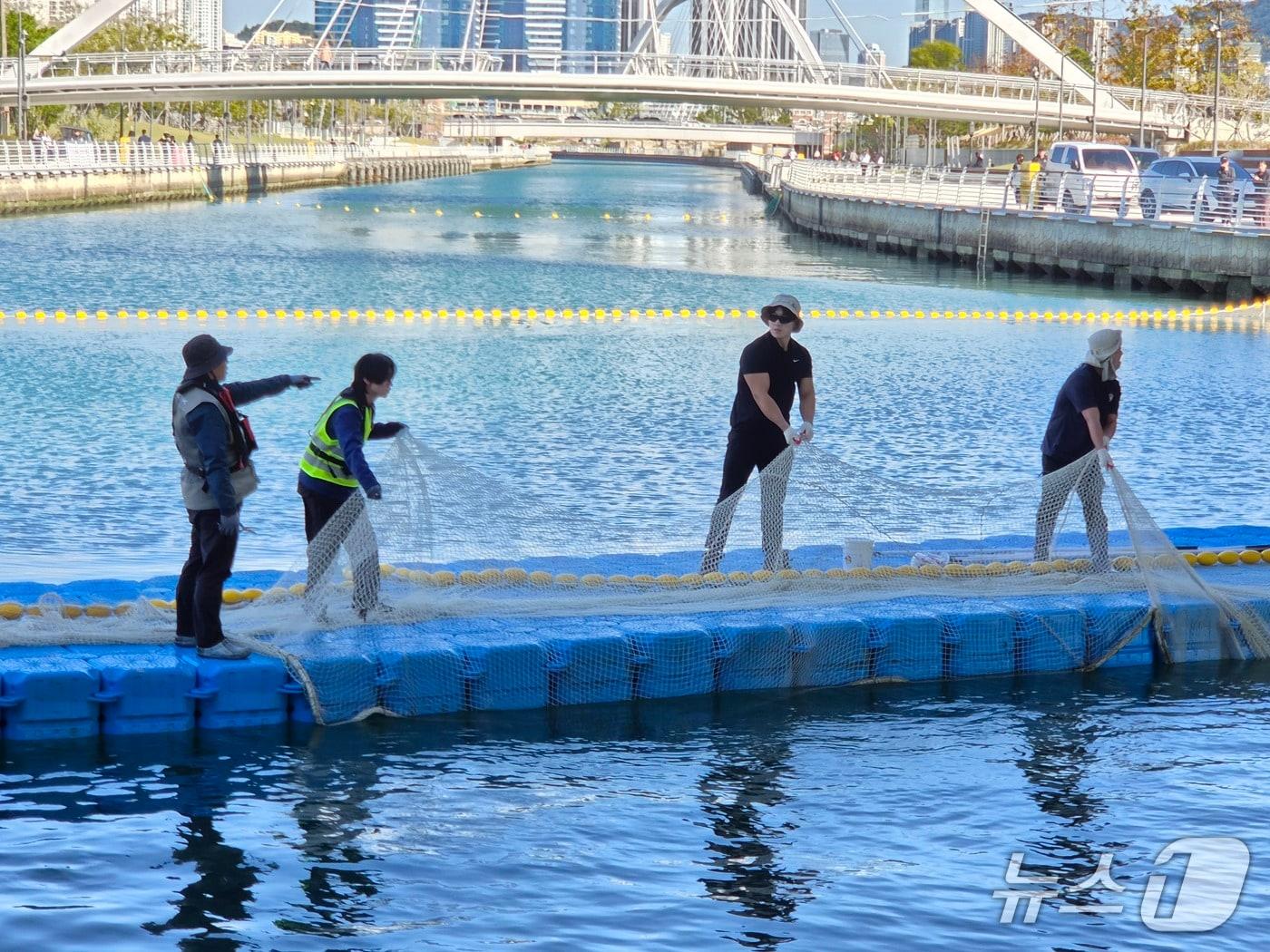본문 이미지 - 상어 '부캉이'가 폰툰을 넘어 인공수로 안으로 돌아온 다음 날인 22일 오전 관계자들이 차단선에 설치된 그물을 철거하고 있다. 부캉이는 지난 21일 3차 외해 유도 작업을 통해 부산 북항 친수공원 인공수로 밖으로 이동했으나, 같은 날 오후 11시쯤 다시 차단선을 넘어 수로 안으로 돌아왔다. 2026.10.22 ⓒ 뉴스1 임순택 기자