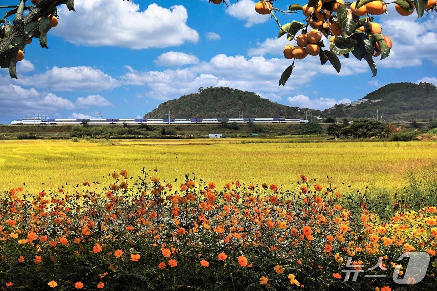 본문 이미지 - 제17회 철도사진공모전 수상작(향수) (한국철도공사 제공. 재판매 및 DB금지) /뉴스1