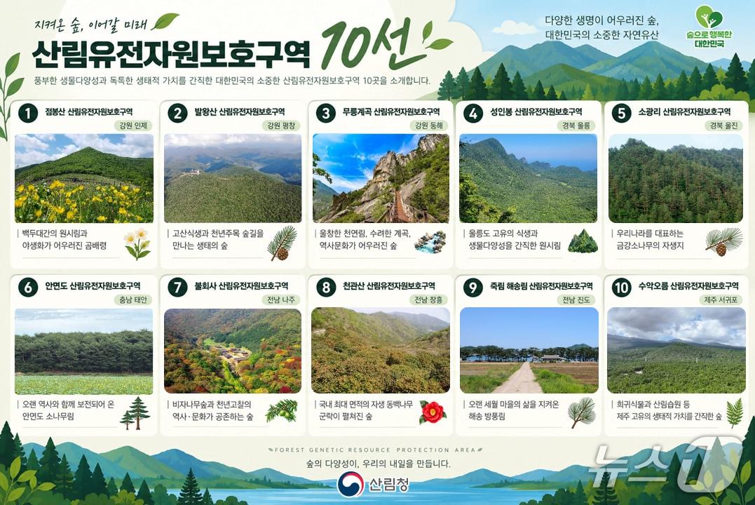 본문 이미지 - (산림청 제공. 재판매 및 DB금지) /뉴스1 