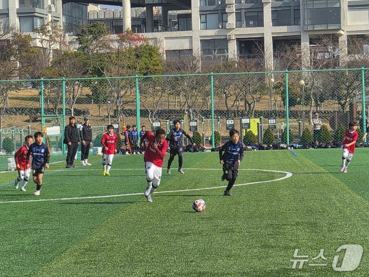 본문 이미지 - 서귀포시에서 훈련중인 동계 전지훈련팀./뉴스1 