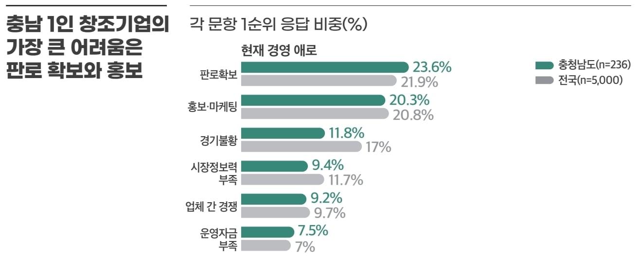 본문 이미지 - 충남 1인 창조기업 관련 그래픽.(충남연구원 제공. 재판매 및 DB 금지)/뉴스1 