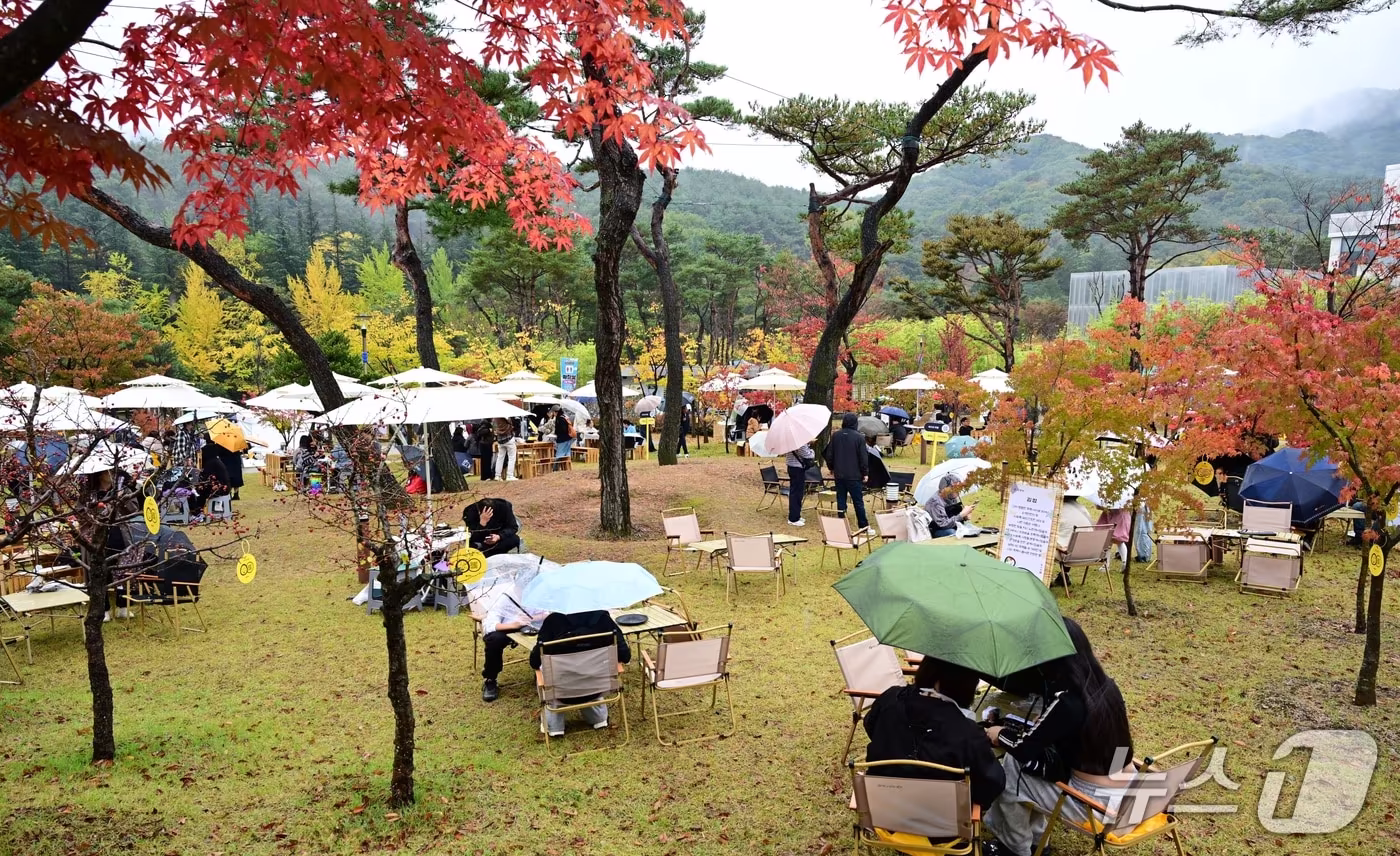 본문 이미지 - 김천 김밥 축제 이튿날인 25일 하루 종일 비가 내린 가운데 축제장을 찾은 방문객들이 가을이 깊어가는 행사장에서 우산을 쓰고 김밥을 먹고 있다. (김천시 제공. 재판매 및 DB 금지) ⓒ 뉴스1 정우용 기자