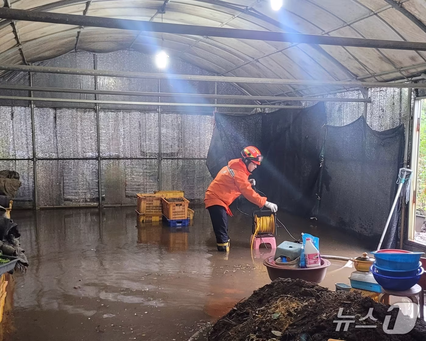 본문 이미지 - 24일 오후 제주시 한 비닐하우스가 빗물에 침수된 모습.(제주도소방안전본부 제공. 재판매 및 DB 금지)