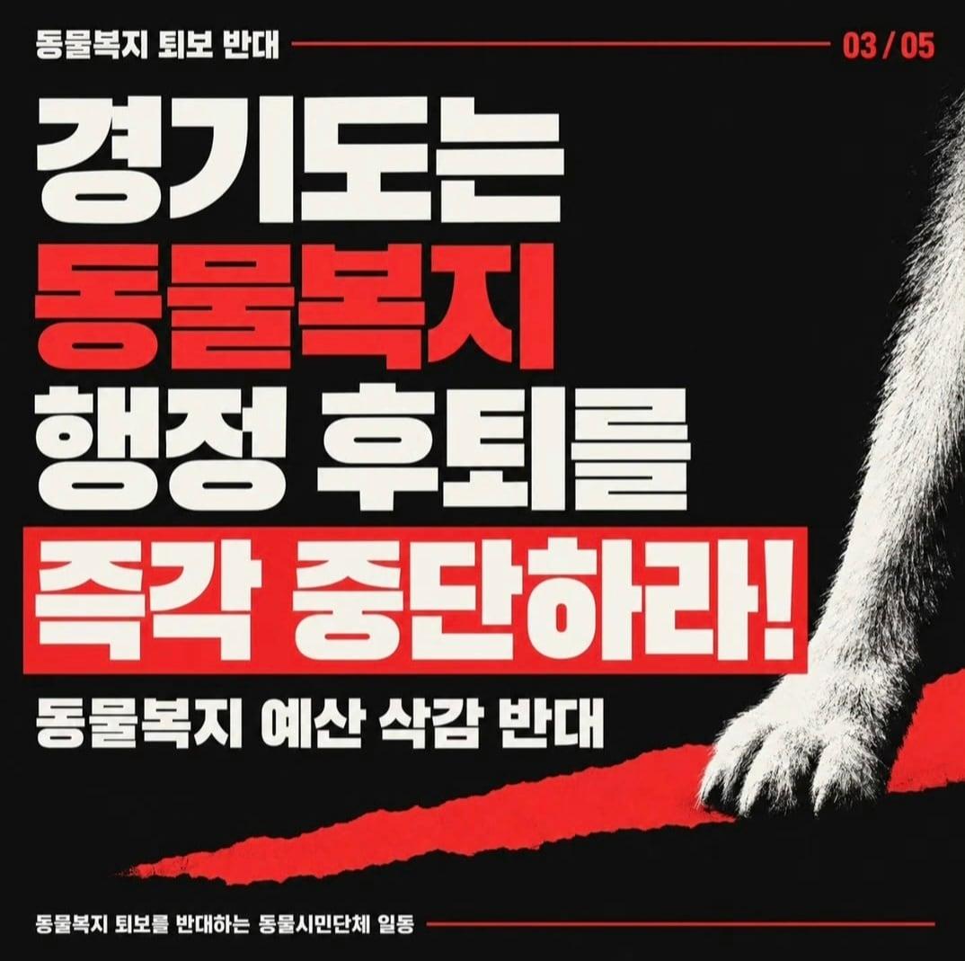 본문 이미지 - '동물복지 퇴보 반대를 위한 동물시민단체' 제공 ⓒ 뉴스1