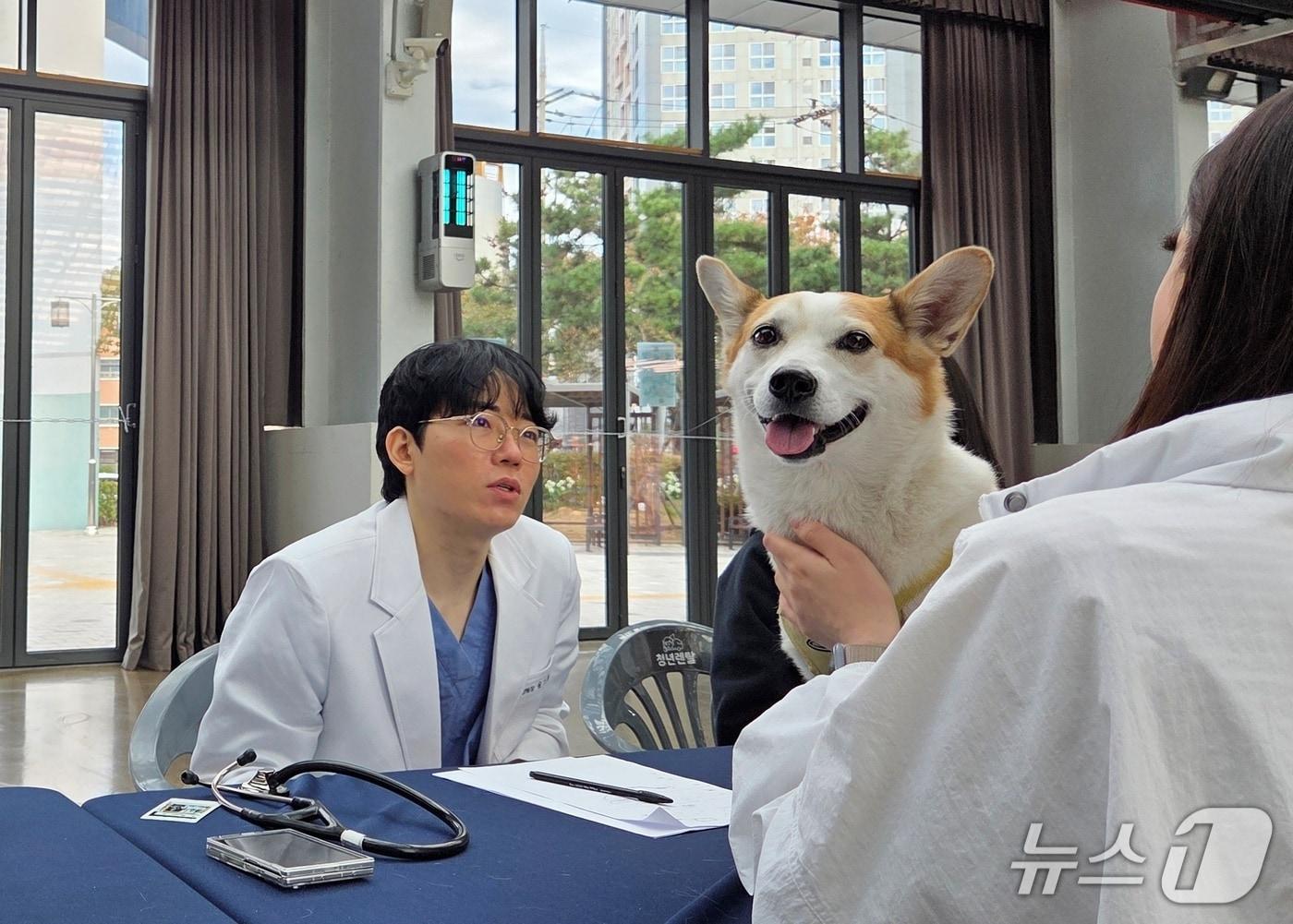 본문 이미지 - 인천스카이동물메디컬센터는 25일 상상플랫폼에서 무료 건강 상담을 진행했다. ⓒ 뉴스1