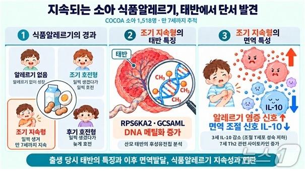 본문 이미지 - 주요 연구 내용 요약.(질병관리청 국립보건연구원 제공)