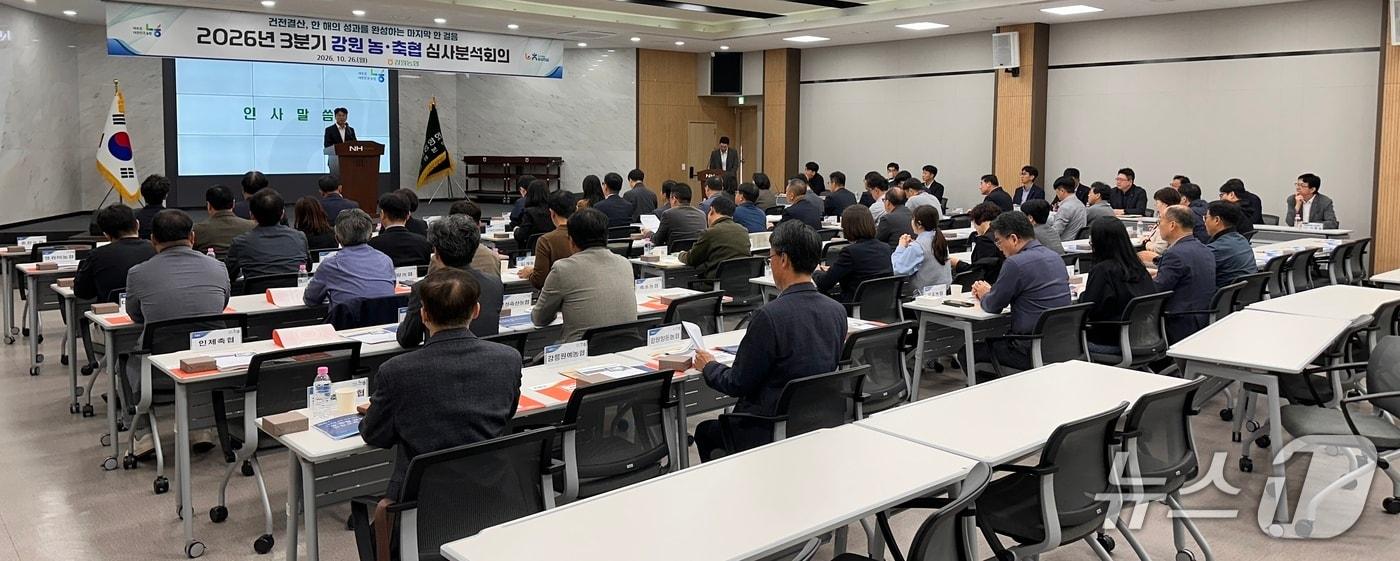 본문 이미지 - 강원농협 '3분기 심사분석회의' 개최.(농협 강원본부 제공. 재판매 및 DB 금지)/뉴스1