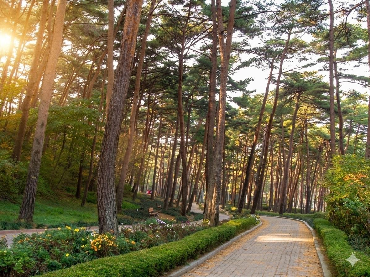 본문 이미지 - 태안 안면도 숲길.(충남도 제공. 재판매 및 DB 금지)/뉴스1 