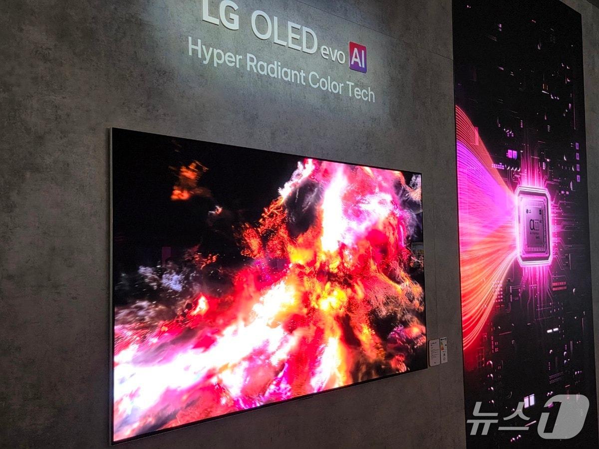 본문 이미지 - LG전자가 압도적인 화질을 자랑하는 OLED TV를 IFA 2026에서 전시했다./뉴스1 황진중 기자