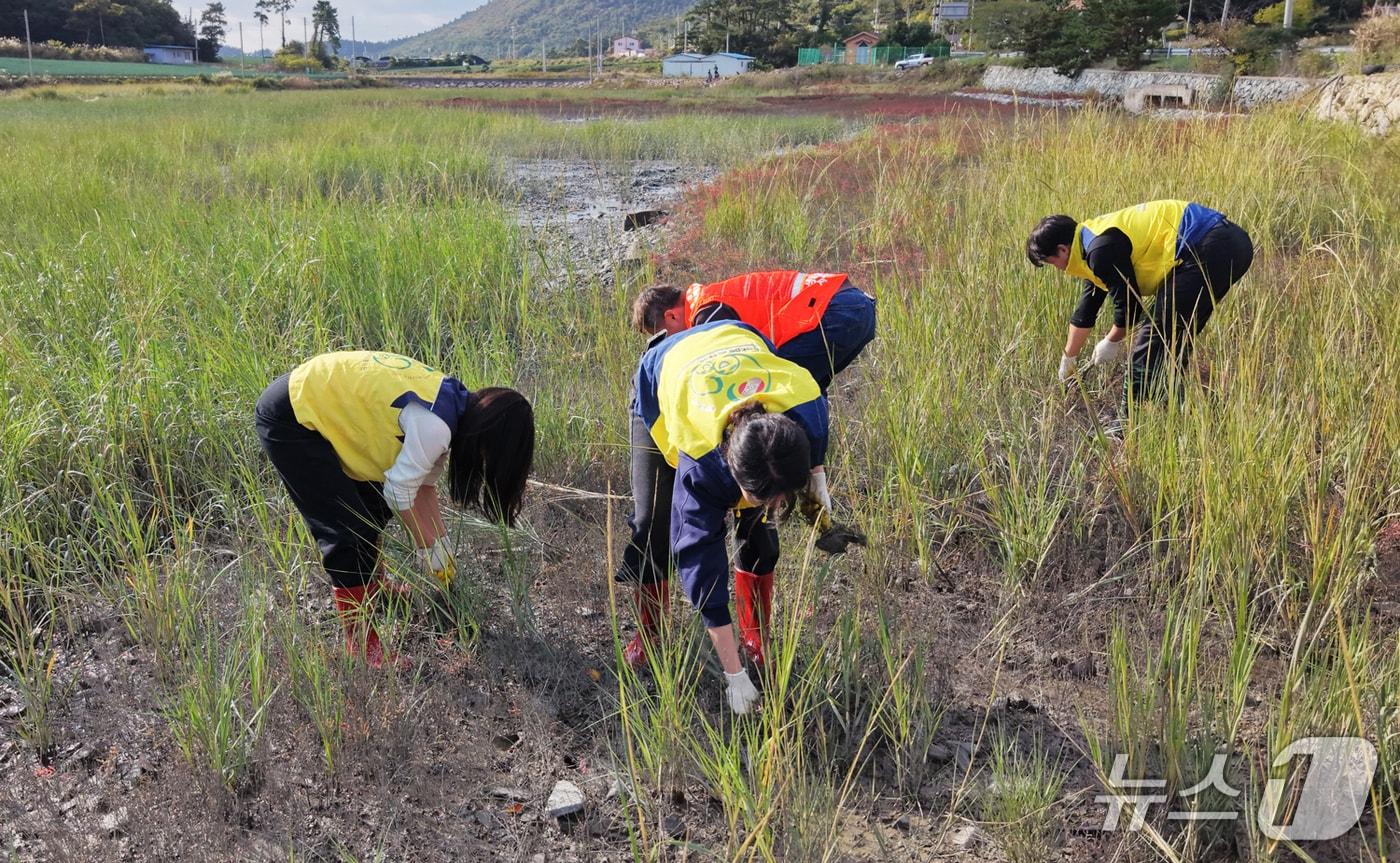 본문 이미지 - 한전KPS는 환경 전문 기관과 함께 전남광주 진도에서 청정 갯벌 생태계 지키기 활동을 펼쳤다고 28일 밝혔다.(한전KPS 제공, 재배포 및 DB 금지) /뉴스1