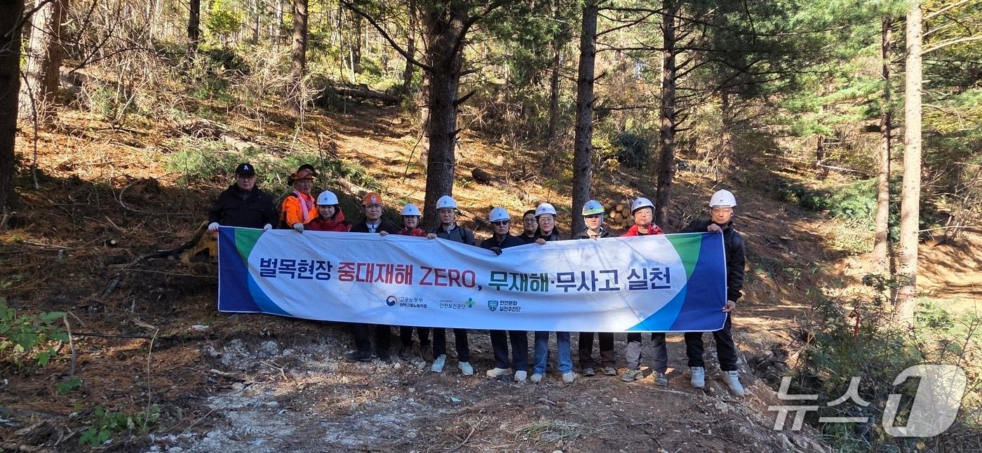 본문 이미지 - 임업현장 안전점검 및 중대재해 제로 캠페인.(고용노동부 태백지청 제공. 재판매 및 DB 금지)/뉴스1