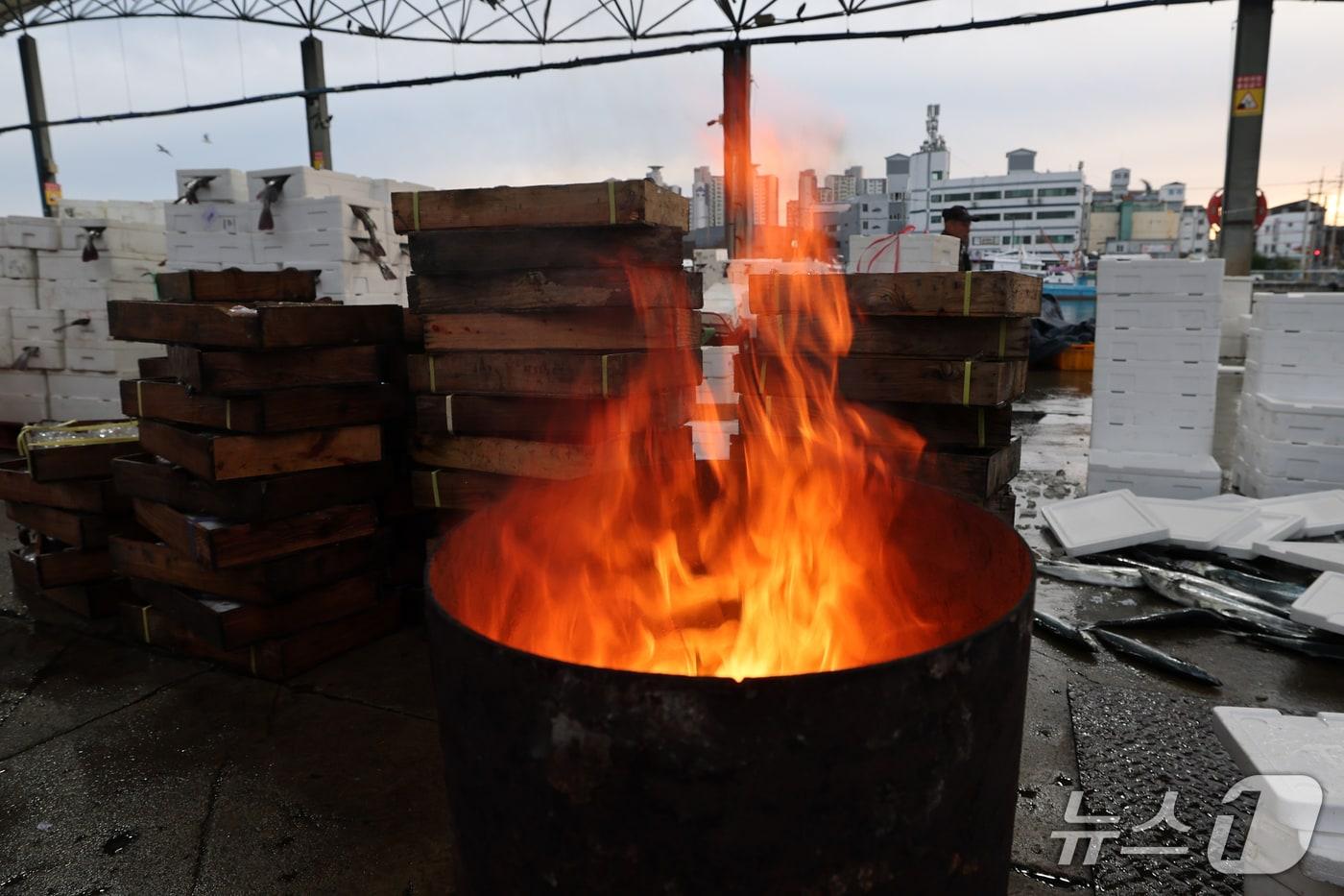 본문 이미지 - 29일 오전 경북 포항시 죽도어시장 위판장에서 상인과 어민들이 모닥불 앞에서 생선 분류 작업을 하고 있다. 2026.10.29 ⓒ 뉴스1 최창호 기자
