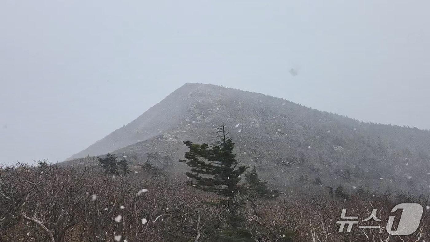 본문 이미지 - 눈 내리는 설악산.(국립공원공단 설악산국립공원사무소 제공. 재판매 및 DB 금지)