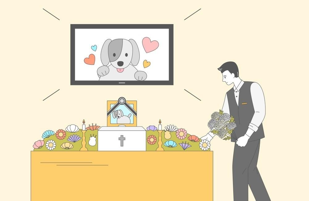 본문 이미지 - 반려동물 장례 서비스(사진 클립아트코리아) ⓒ 뉴스1