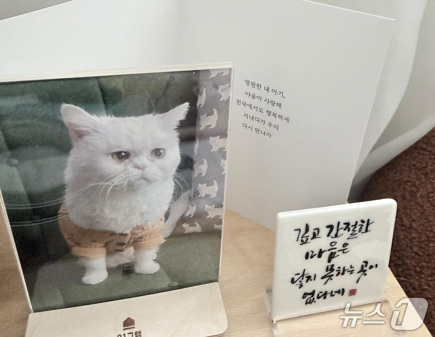 본문 이미지 - 추모 이미지(서울시 제공)
