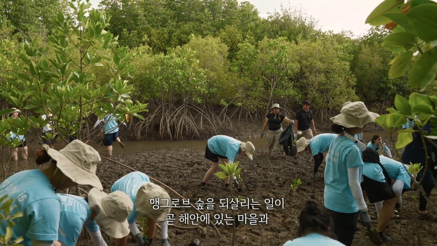본문 이미지 - 다큐멘터리 기후공감 화면 속 맹그로브 묘목 심는 장학생들의 모습 (티앤씨재단 제공)