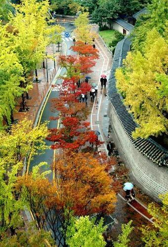 본문 이미지 - 덕수궁길 (서울시 제공)