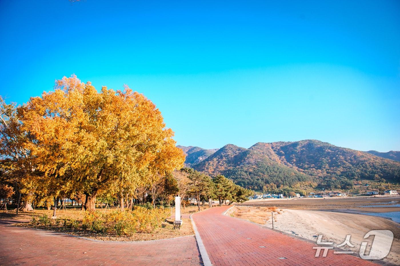 본문 이미지 - 남해군 신전숲 전경(남해군 제공. 재판매 및 DB 금지).