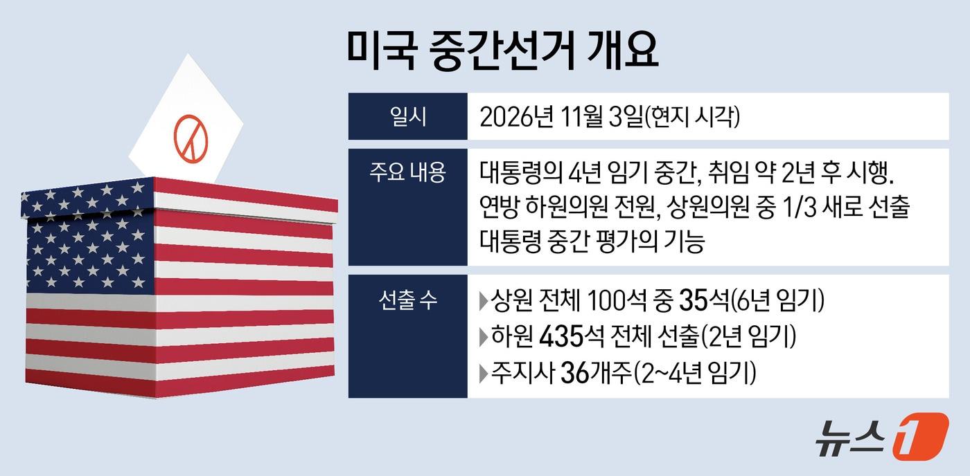 본문 이미지 - ⓒ 뉴스1 김지영 디자이너