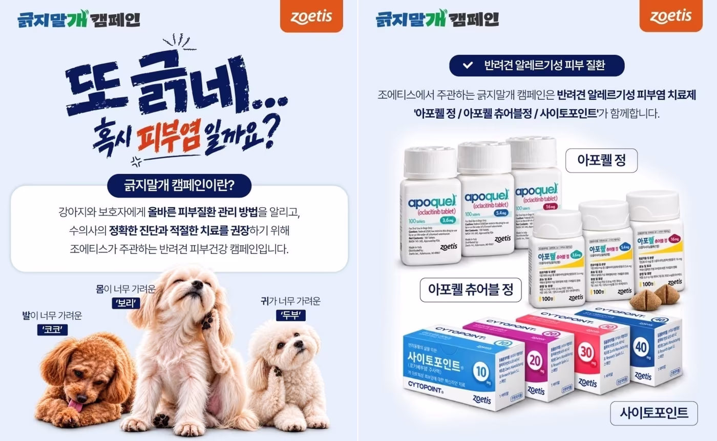 본문 이미지 - 긁지말개 캠페인(한국조에티스 제공) ⓒ 뉴스1