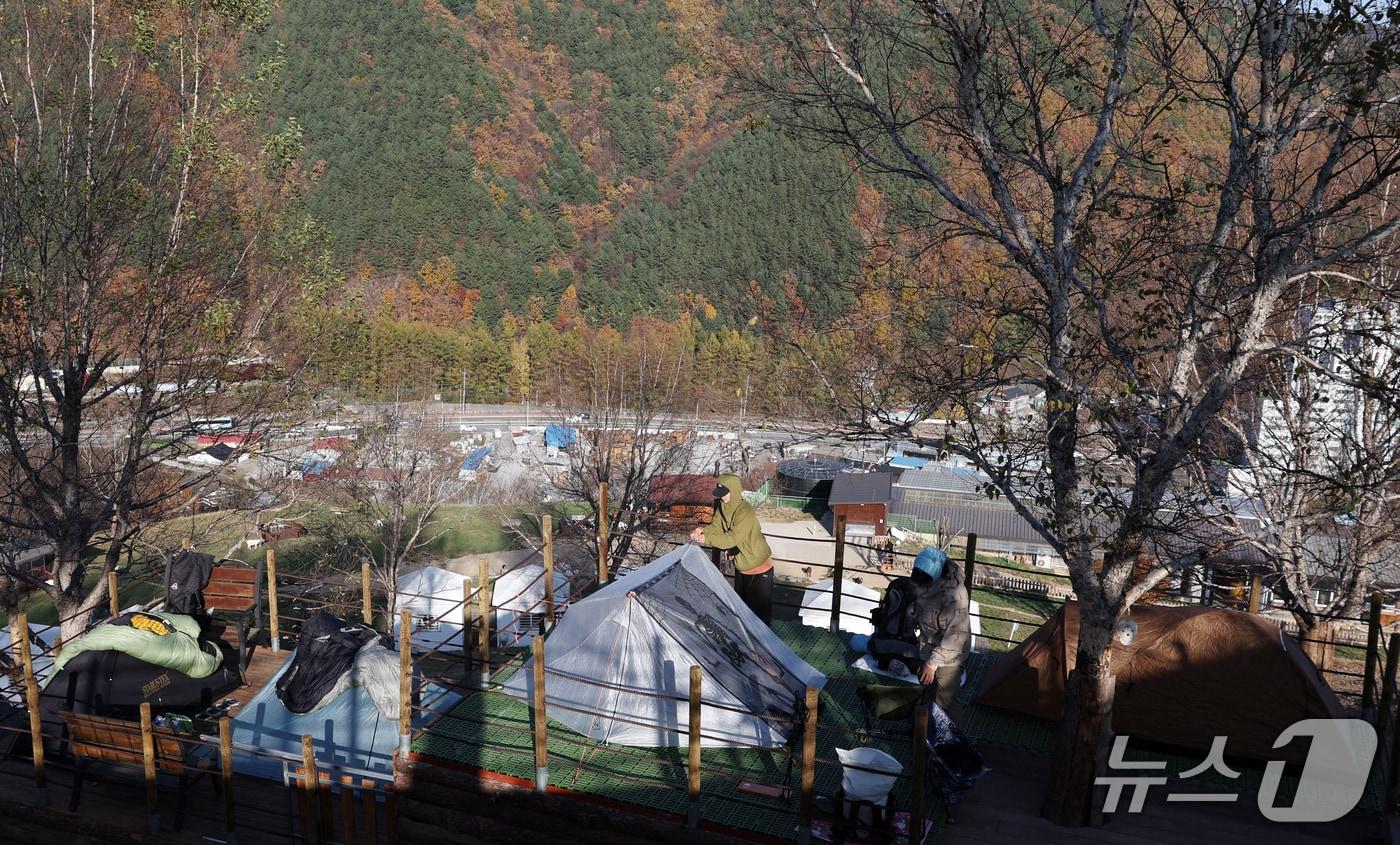 본문 이미지 - 10월31일 강원도 태백시 몽토랑산양목장에서 열린 '태백행 단풍편' 백패킹 행사에 모인 백패커들이 깊어가는 가을을 즐기고 있다. 이번 행사는 붉고 노랗게 물든 수려한 산림경관과 가을 단풍을 활용한 체류형 관광 콘텐츠로 주 무대인 천상의숲길 3코스는 추전역에서 몽토랑산양목장까지 이어지는 트레킹 구간이다. 2026.10.31 ⓒ 뉴스1 김명섭 기자
