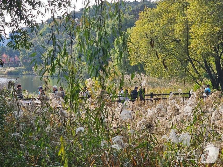 본문 이미지 - 동탄호수공원 산책로. ⓒ News1 김기현 기자