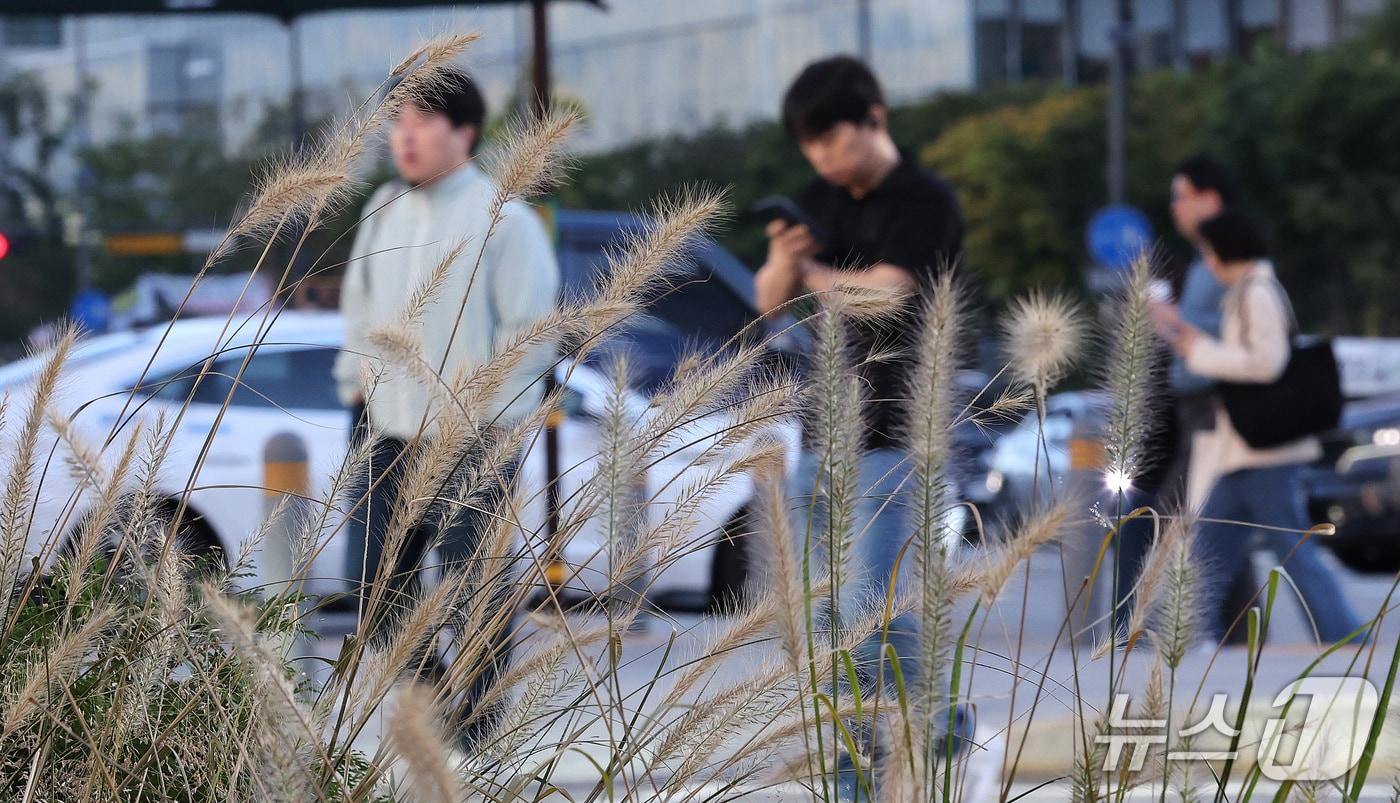 본문 이미지 - 쌀쌀한 가을 날씨를 보인 6일 오전 서울 종로구 광화문네거리에서 시민들이 몸을 움츠린 채 출근하고 있다. ⓒ 뉴스1 박지혜 기자