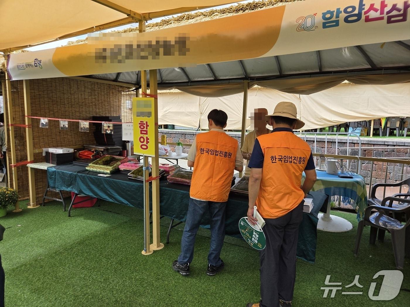 본문 이미지 - 2025년 함양산삼축제 때 모습. (한국임업진흥원 제공. 재판매 및 DB금지) /뉴스1