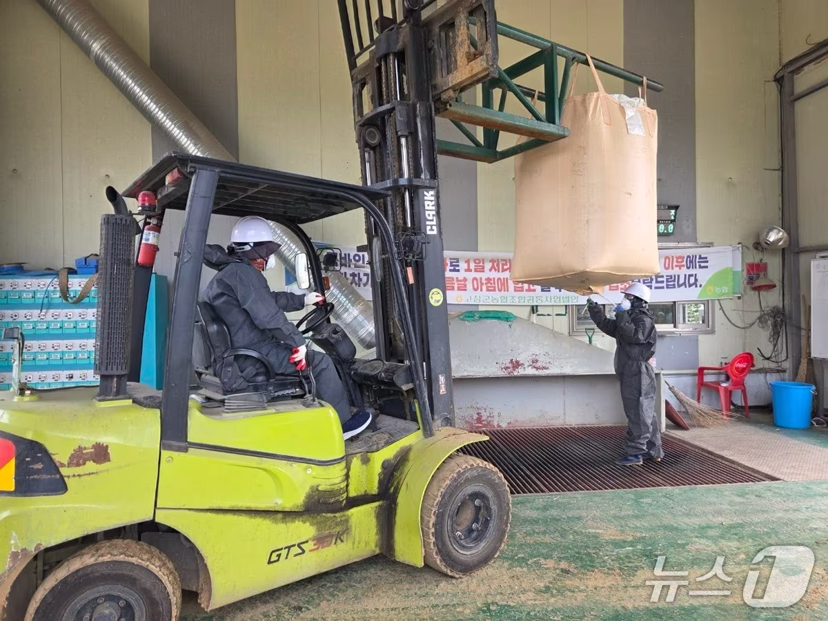 본문 이미지 - 전북 고창군은 6일부터 공공비축미곡 8591톤을 매입한다.(고창군 제공. 재판매 및 DB금지)