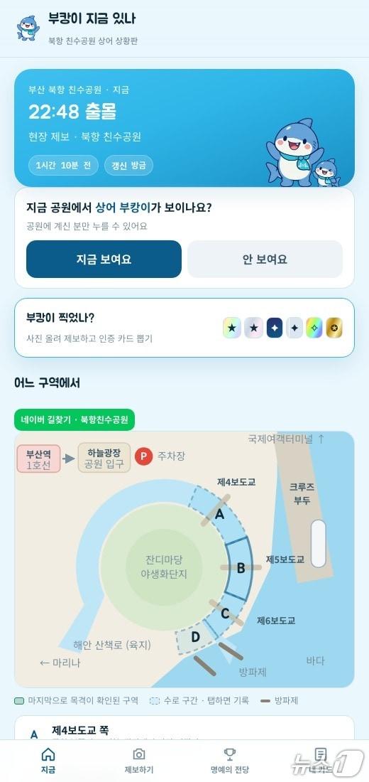 본문 이미지 - '부캉이 지금 있나' 서비스 화면 이미지. (국립부경대 제공. 재판매 및 DB 금지)