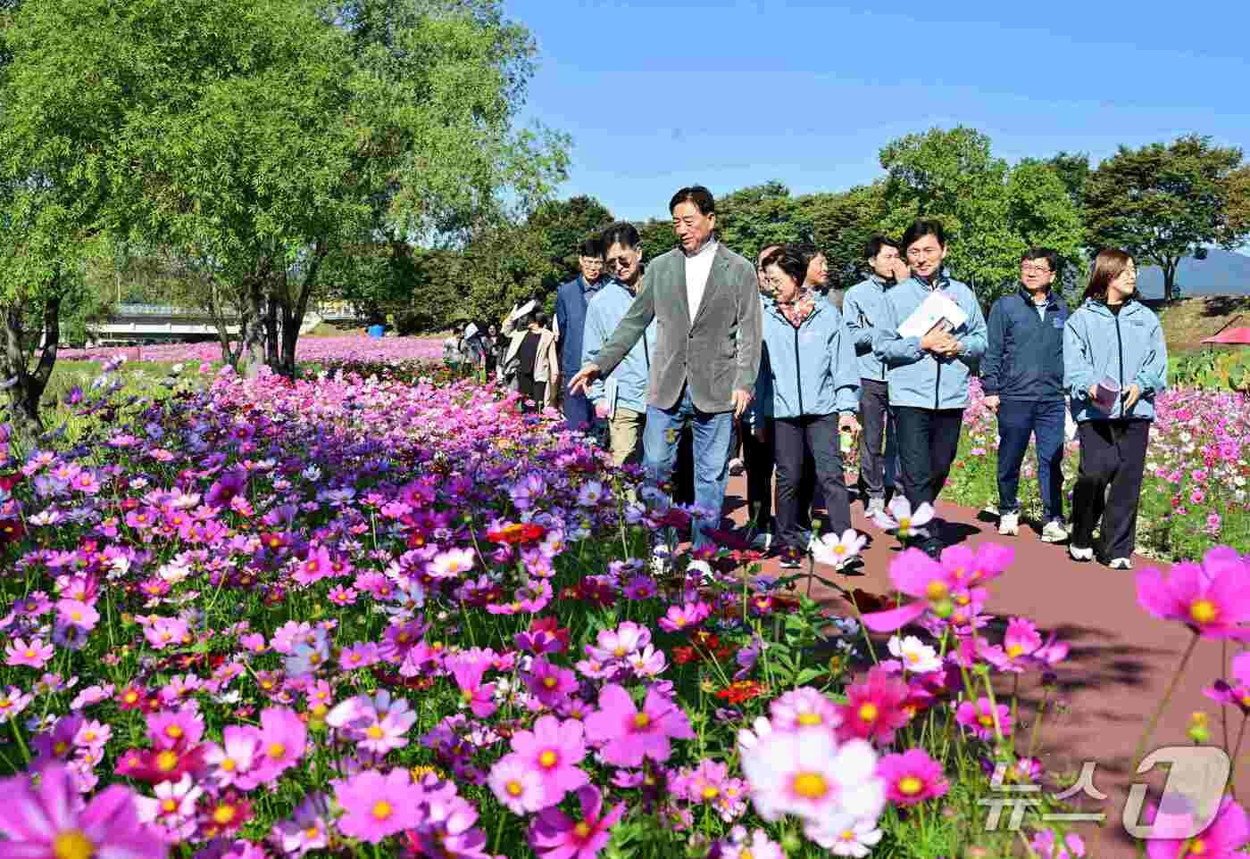 본문 이미지 - 김한종 전남광주통합특별시 장성군수가 6일 장성 황룡강 가을꽃축제 현장 점검을 하고 있다.(장성군 제공. 재배포 및 DB 금지)
