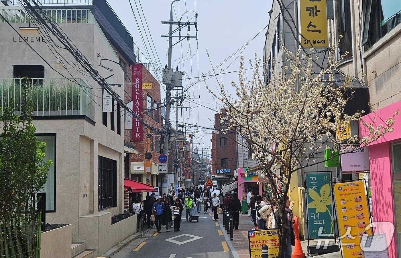 본문 이미지 - 서울 성동구 서울숲 아뜰리에길 일대 ⓒ 뉴스1 박혜연 기자
