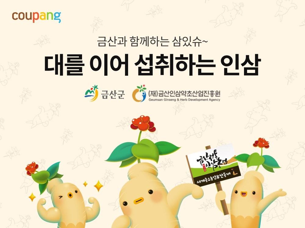본문 이미지 - 쿠팡 제공