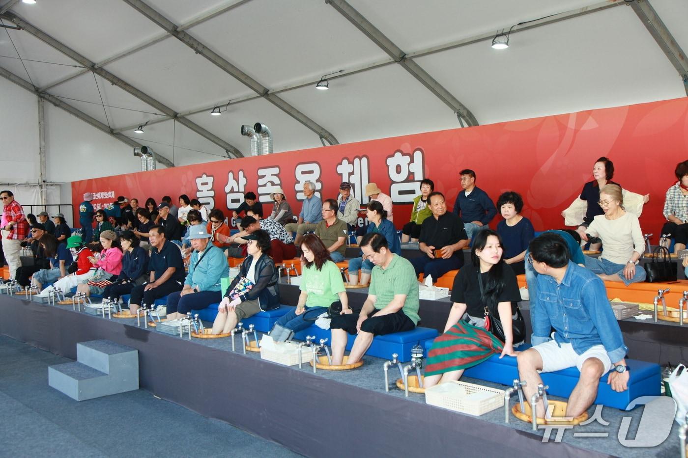 본문 이미지 - 제44회 금산세계인삼축제에서 홍삼 족욕하는 모습. (금산군 제공. 재판매 및 DB금지) /뉴스1