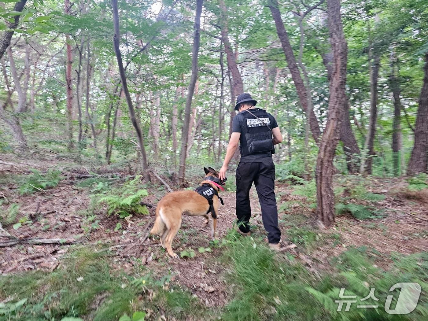 본문 이미지 - 경찰특공대원이 지난 1일 부산 엄광산 일대에서 수색견과 함께 실종된 80대 치매노인을 찾기 위한 수색 작업을 벌이고 있다. (부산진경찰서 제공. 재판매 및 DB 금지)