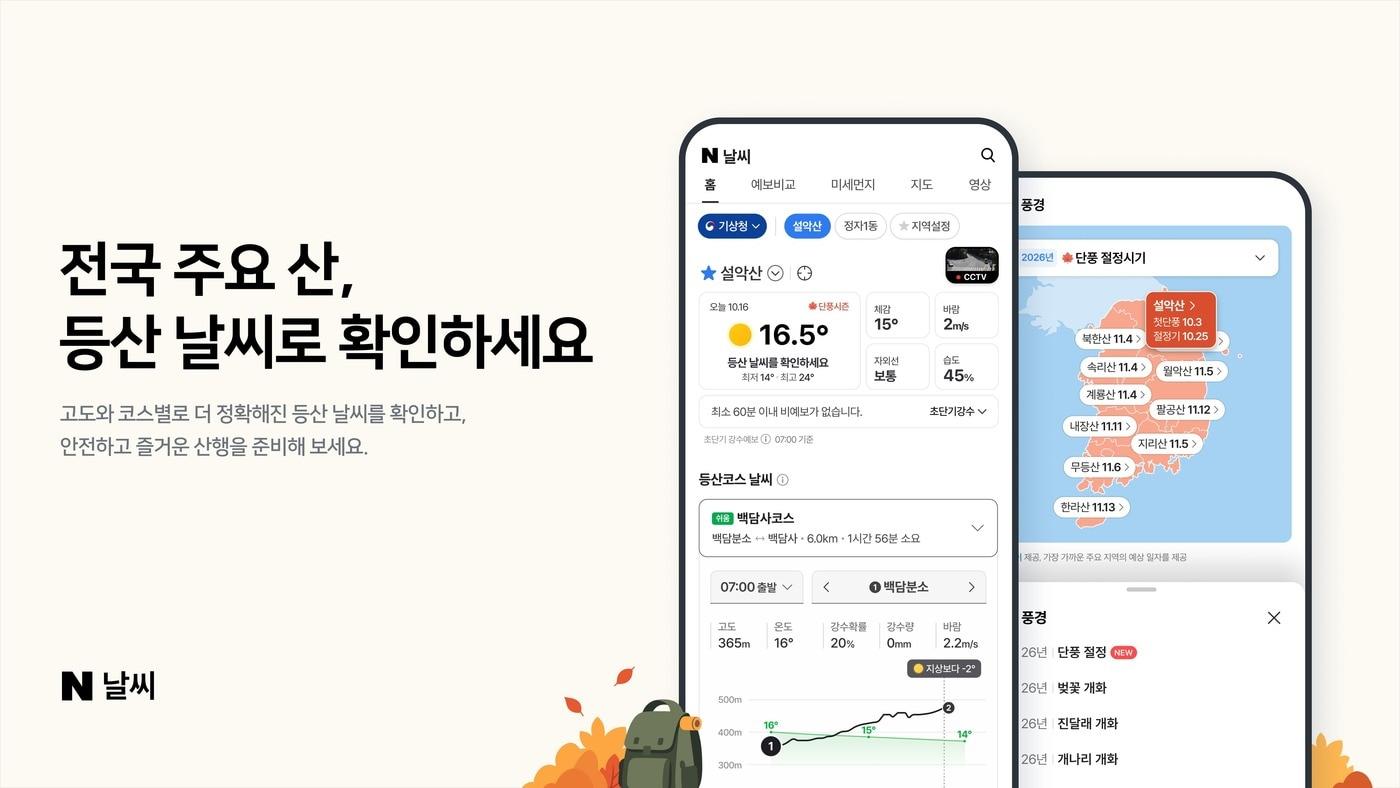 본문 이미지 - (네이버 제공)
