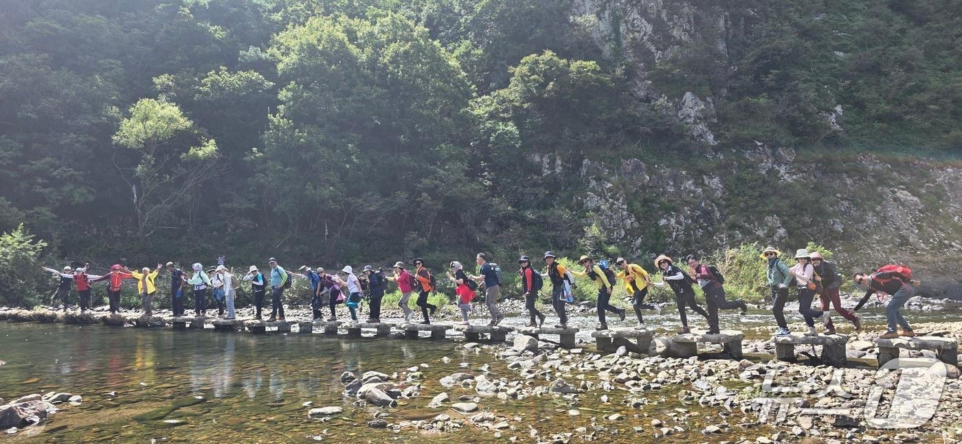 본문 이미지 - 한국방송통신대학교 총동문산악회 회원들이 월류봉 광장 앞 징검다리를 건너고 있다.(영동군 제공. 재판매 및 DB 금지) 2026.10.8/뉴스1 