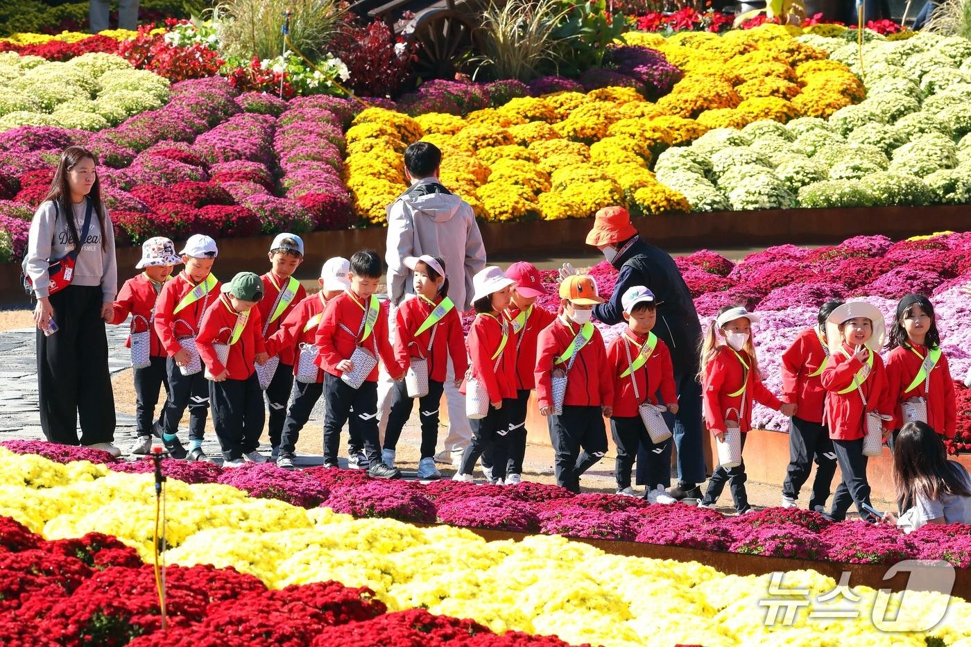 본문 이미지 - 8일 강원 인제 북면 용대관광지 일원에서 열린 '2026 인제가을꽃축제'를 찾은 어린이들이 즐거운 시간을 보내고 있다. 이번 축제 운영 기간은 오는 18일까지다.(인제군 제공. 재판매 및 DB 금지) 