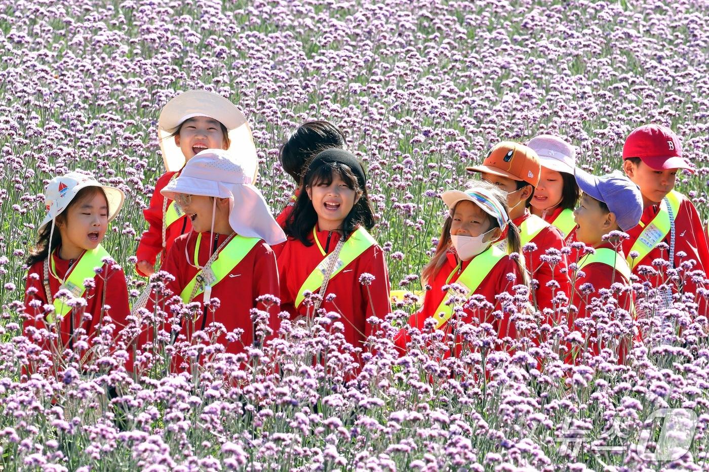 본문 이미지 - 지난 8일 강원 인제 북면 용대관광지 일원에서 열린 '2026 인제가을꽃축제'를 찾은 어린이들이 즐거운 시간을 보내고 있다. 이번 축제 운영 기간은 오는 18일까지다.(인제군 제공. 재판매 및 DB 금지) ⓒ 뉴스1 이종재 기자