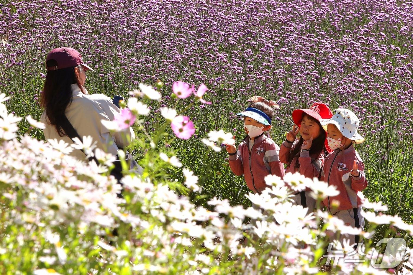 본문 이미지 - 8일 강원 인제 북면 용대관광지 일원에서 열린 '2026 인제가을꽃축제'를 찾은 어린이들이 즐거운 시간을 보내고 있다. 이번 축제 운영 기간은 오는 18일까지다.(인제군 제공. 재판매 및 DB 금지) ⓒ 뉴스1 이종재 기자