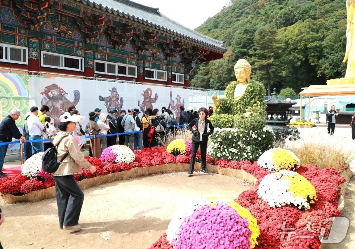 본문 이미지 - 9일 가을 국화 향연이 열린 충북 보은의 속리산 법주사를 찾은 시민들이 즐거운 한때를 보내고 있다.(보은군 제공. 재판매 및 DB 금지) 2026.10.9/뉴스1 