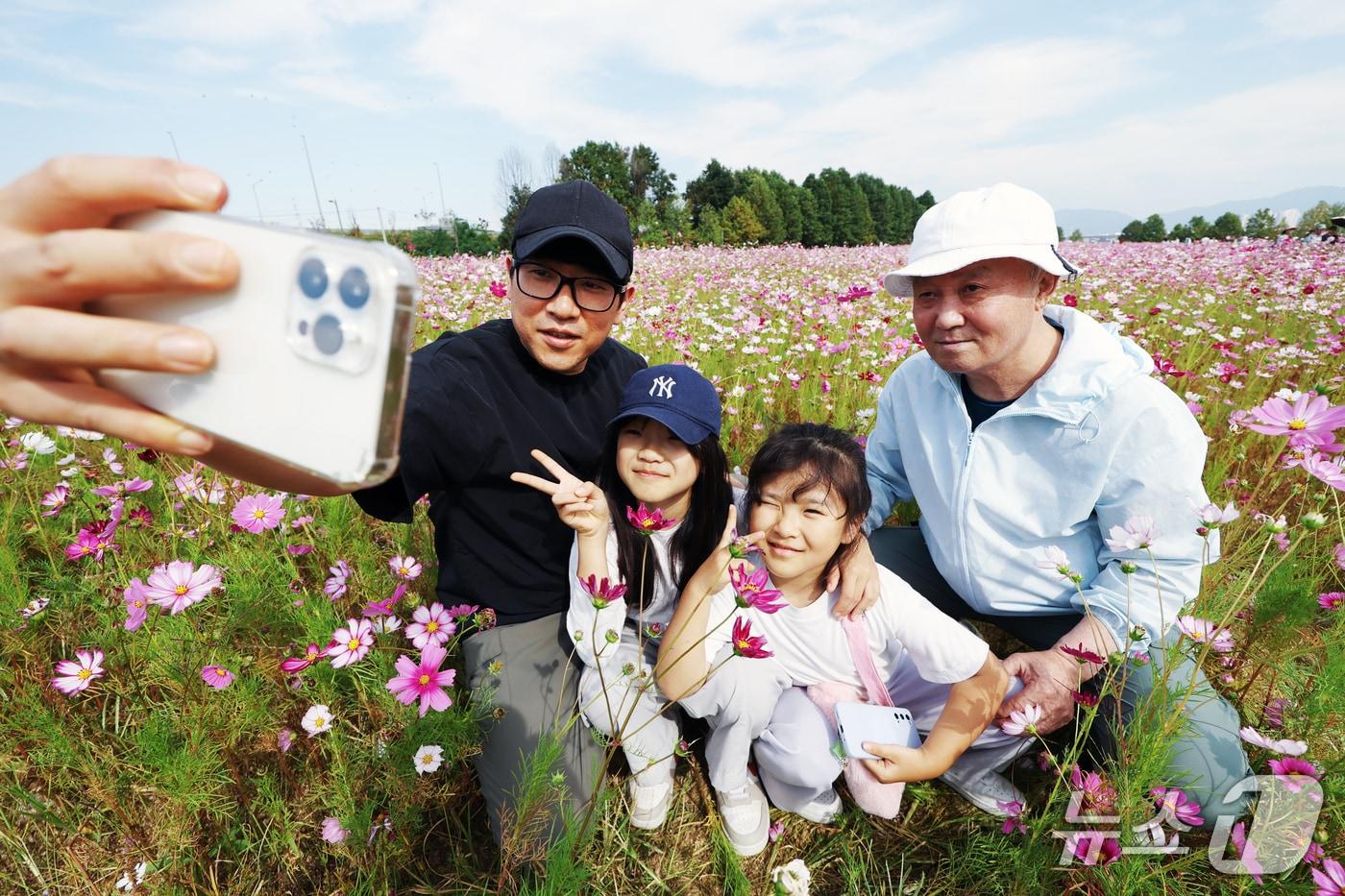 본문 이미지 - 9일 오후 '2026 구리 코스모스 축제'를 찾은 시민들이 꽃밭에서 사진을 찍고 있다.  2026.10.9 ⓒ 뉴스1 김민지 기자