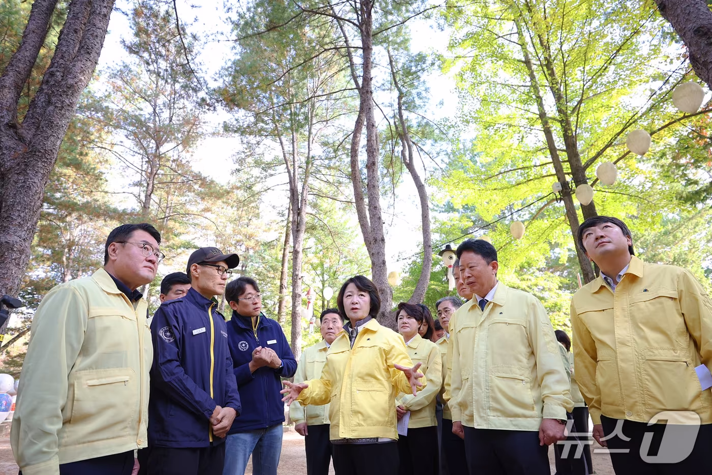 본문 이미지 - 9일 가평 남이섬을 찾아 소나무재선충병 방재 상황을 점검하고 있는 추미애 경기도지사.(경기도 제공. 재판매 및 DB 금지)