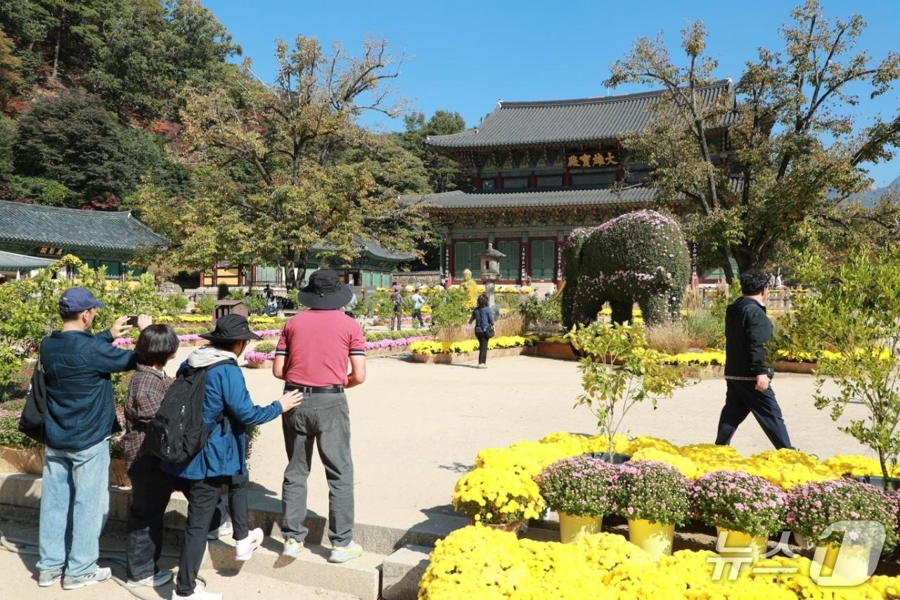 본문 이미지 - 충북 보은의 속리산 법주사를 찾은 나들이객들이 쪽빛 가을 하늘 아래 즐거운 한때를 보내고 있다.(보은군 제공. 재판매 및 DB 금지) 2026.10.9/뉴스1 