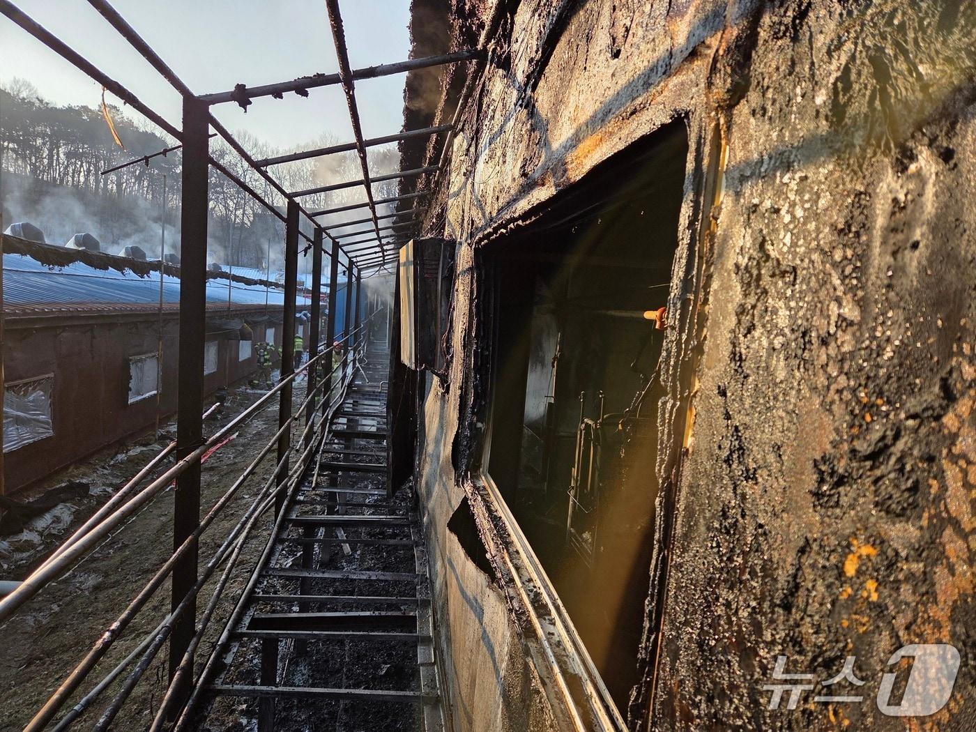 본문 이미지 - 천안 동남구 성남면 돈사 화재 현장. (천안동남소방서 제공, 재판매 및 DB금지) / 뉴스1 