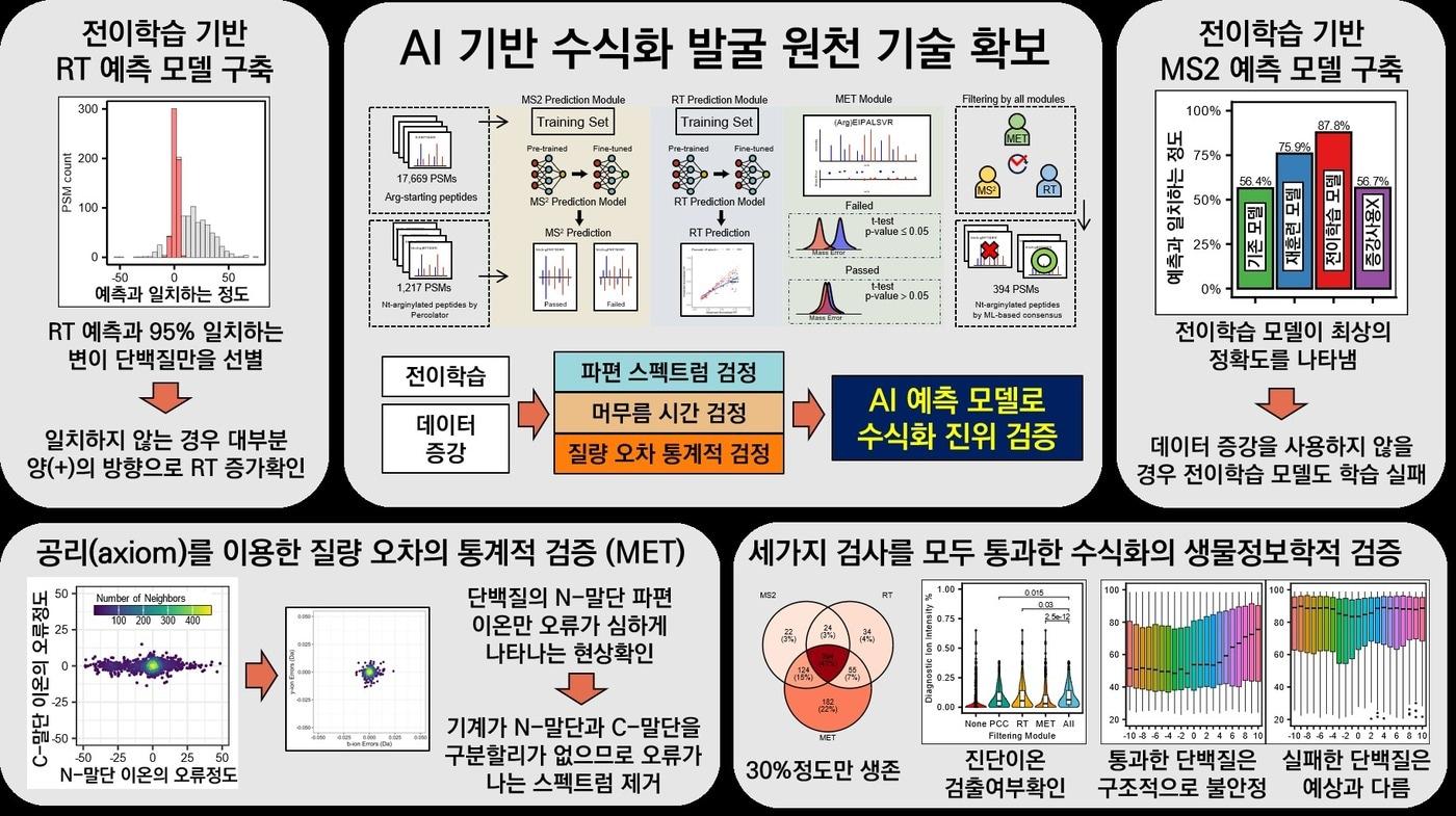 본문 이미지 - AI 활용 특이 단백질 변형 분석 모식도.(한국과학기술연구원(KIST) 제공)