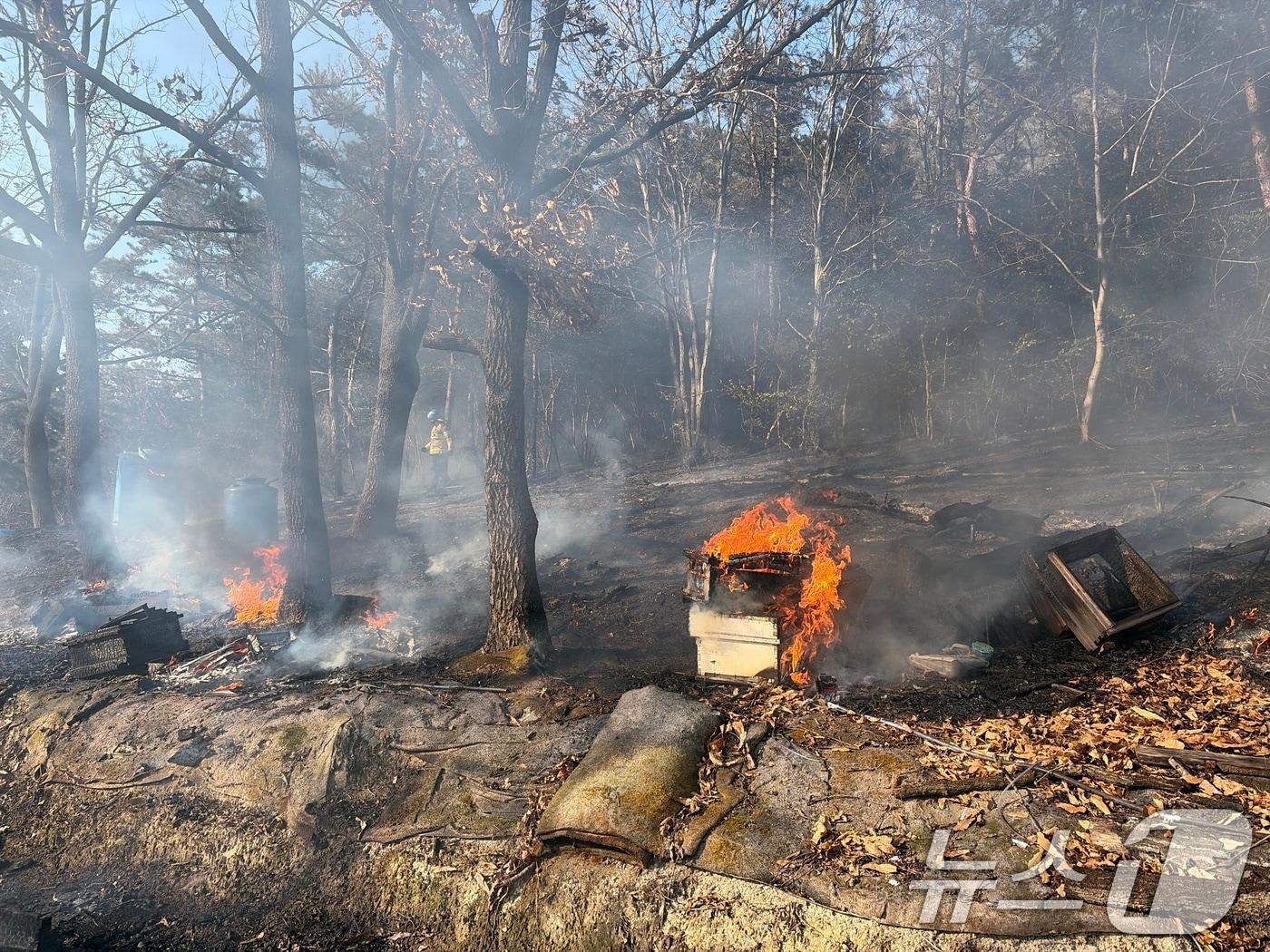 본문 이미지 - 1일 오후 3시쯤 전남 무안군 일로읍의 한 산에서 불이 나 소방당국이 진화를 벌이고 있다. (전남소방본부 제공. 재판매 및 DB금지) 2026.2.1/뉴스1 