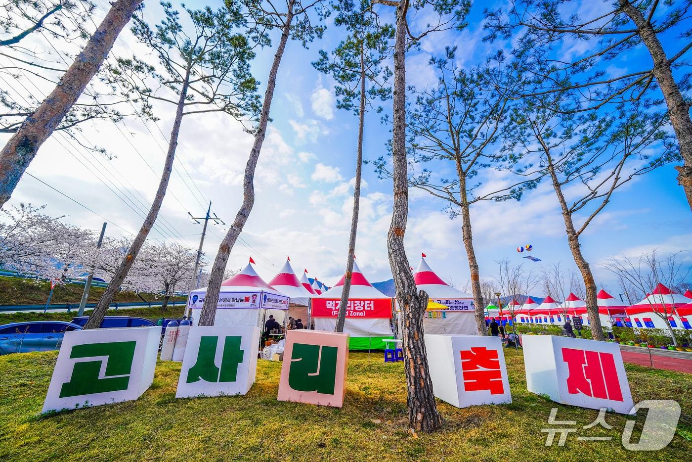 본문 이미지 - 남해군 창선고사리축제장 전경(남해군 제공. 재판매 및 DB금지).