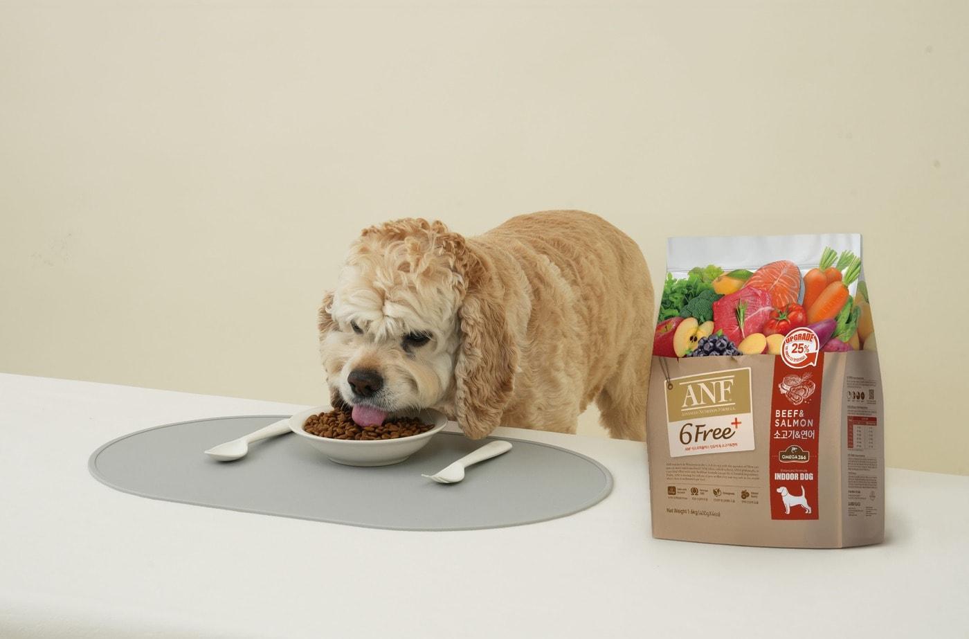 본문 이미지 - K-펫푸드 전문기업 우리와주식회사는 설 연휴를 맞아 반려동물 위탁 전 보호자가 반드시 확인해야 할 핵심 체크포인트를 공개했다(우리와 제공). ⓒ 뉴스1